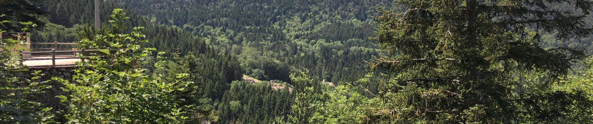 Tocht Stappen Villard-de-Lans - La brèche de Chalimont par Valchevrière - Photo