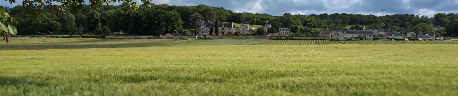 Trail Walking Chinon -  Parilly - Zig zag Ligré - 24.4km 330m 5h30 (50mn) - 2024 05 24 - Photo