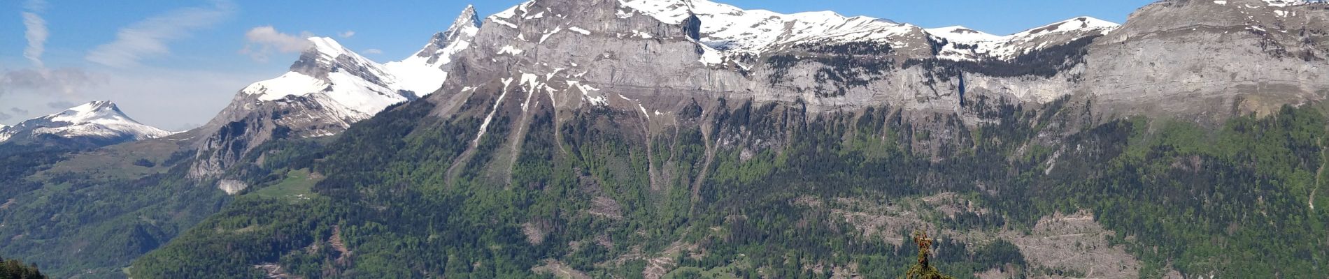 Randonnée Marche Arâches-la-Frasse - Les Carroz l'Arbaron en boucle - Photo