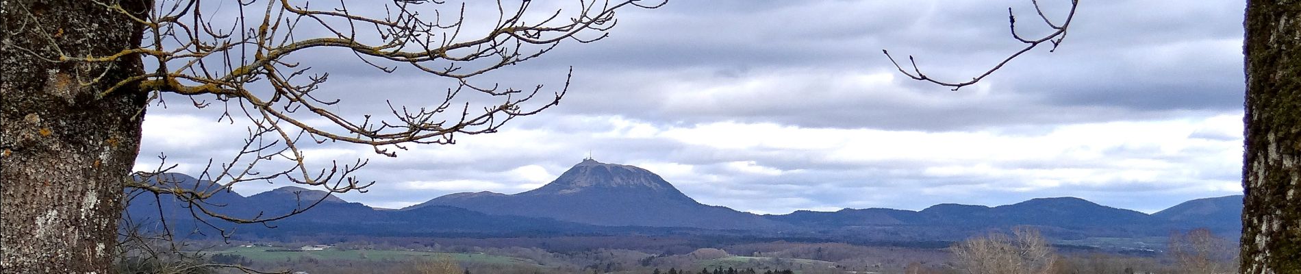 Tocht Stappen Bromont-Lamothe - Bromont_Puy_Neuffont - Photo