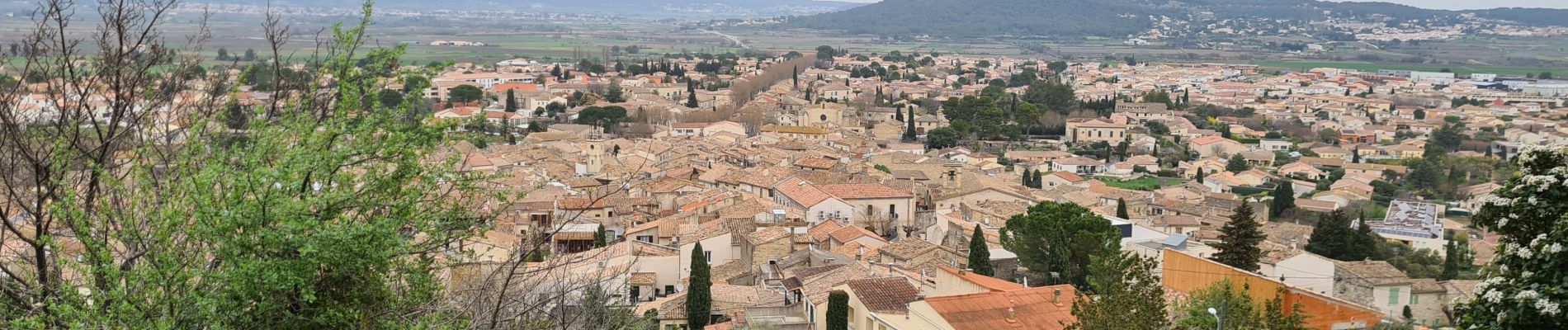 Tour Wandern Congénies - Congenies-Mazet-Sincans-Calvisson - Photo