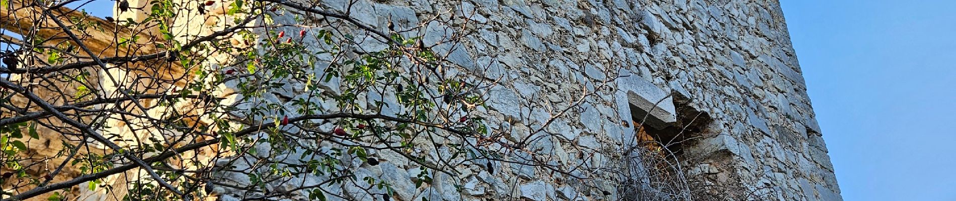 Randonnée Marche Saint-Jeannet - Baous de la Gaude et de St Jeannet - Photo