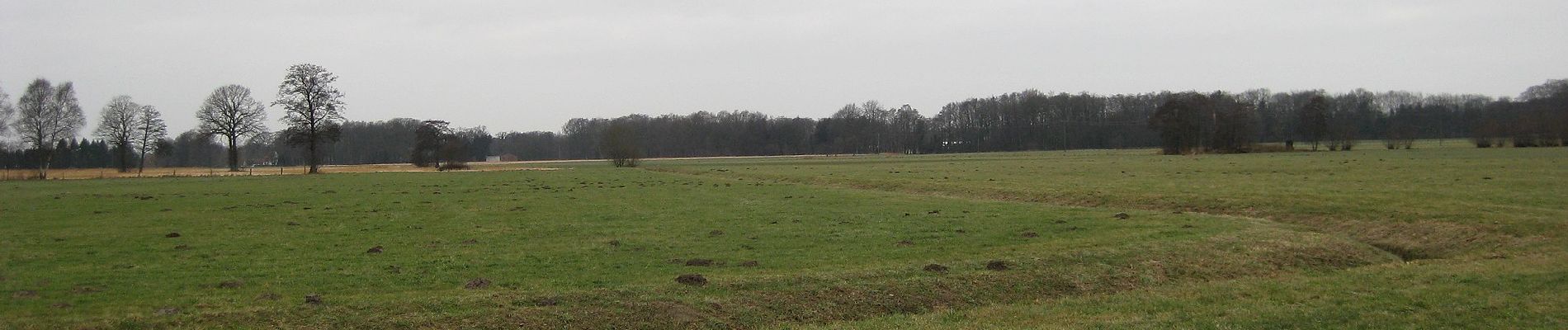 Tour Zu Fuß Steinhagen - Steinhagen Rundweg A10 - Photo