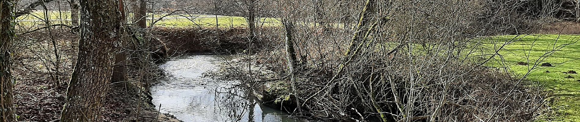 Tocht Te voet Alfdorf - Alfdorfer Wanderweg Nr.6 - Photo