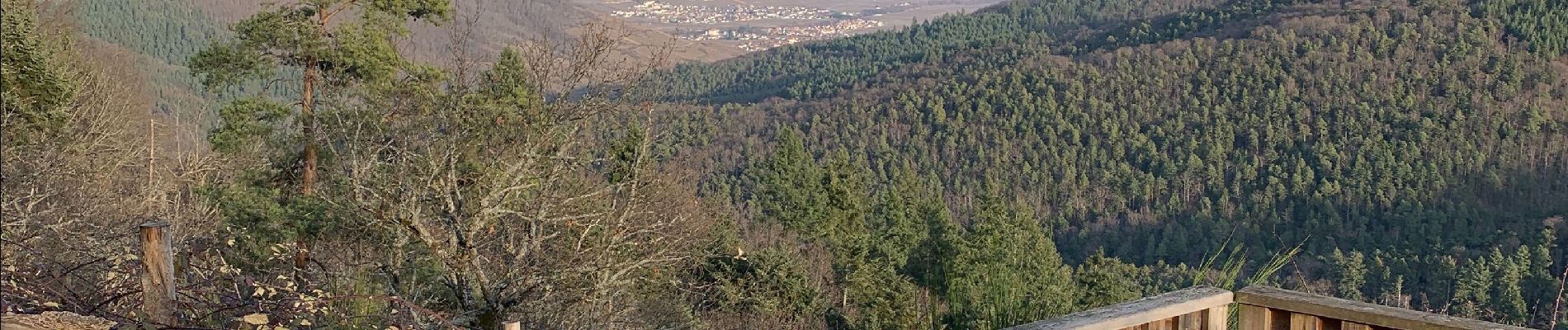 Excursión Senderismo Ammerschwihr - Rocher du corbeau / trois épis - Photo