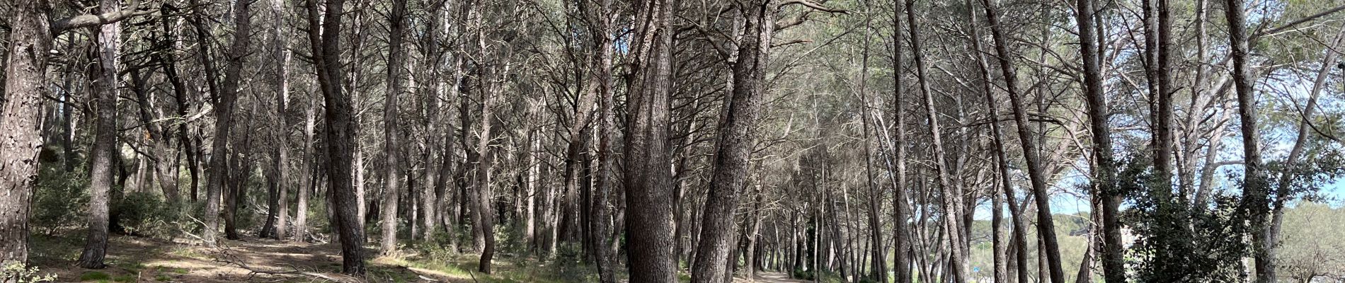 Excursión Senderismo Istres - Martigues entre les étangs de Citis et Lavalduc - Photo