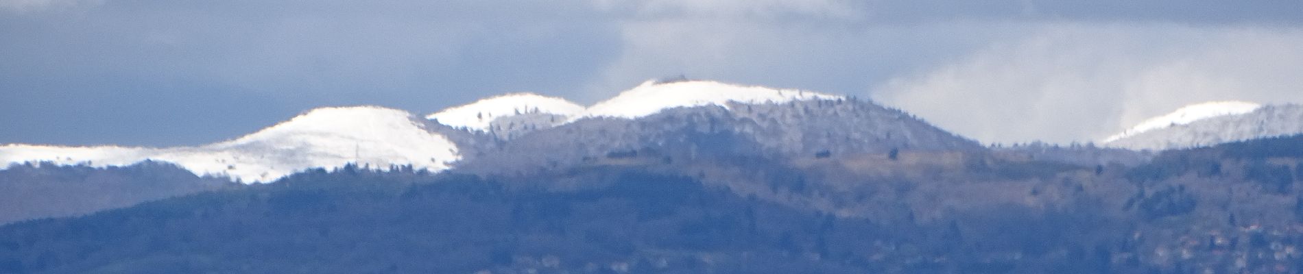 Randonnée Marche Chappes - Chappes-Chavaroux - Photo