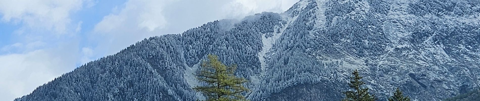 Percorso Marcia Chamonix-Mont-Blanc - J13 - R11 - Chalet La Floria depuis Les Praz de Chamonix - Photo