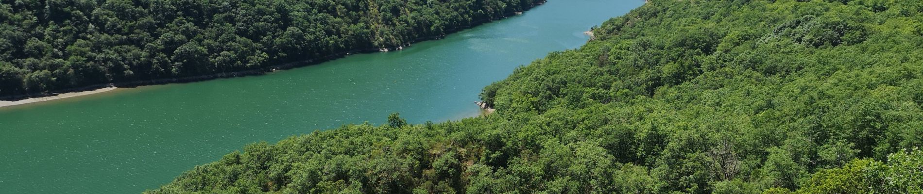 Tocht Wegfiets Saint-Rome-de-Tarn - Raspes du Tarn Pinet  - Photo