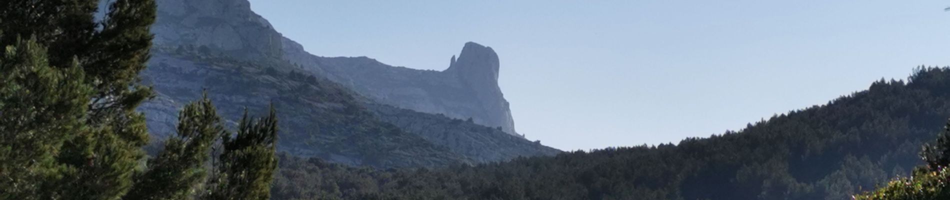 Tocht Stappen Marseille - Morgiou depuis le parking des Calanques  - Photo