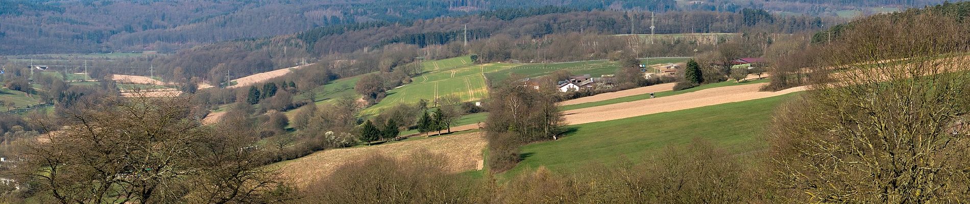 Tour Zu Fuß Bad Soden-Salmünster - Bad Orb Rundwanderweg 2 Grenzsteinweg - Photo