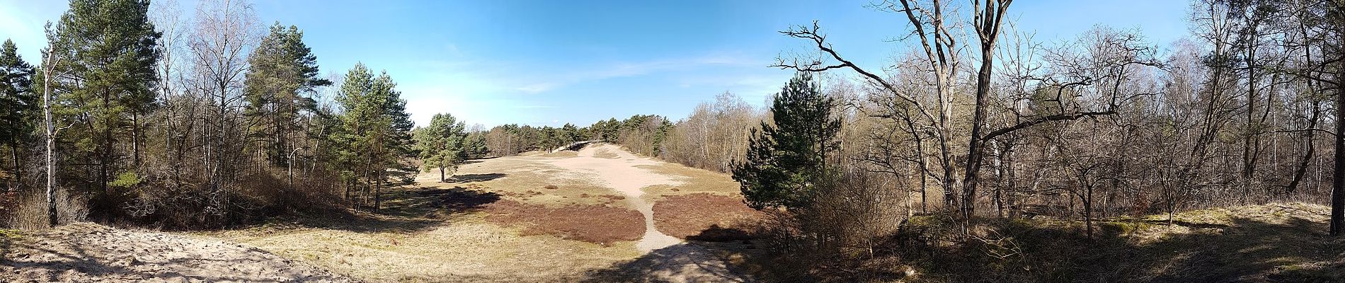 Percorso A piedi Geesthacht - Düneberger Sandberge, Rundweg 5 km - Photo