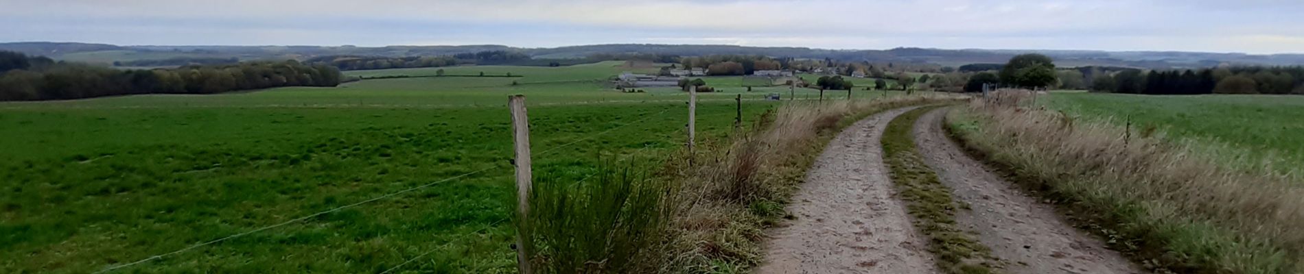 Randonnée Marche Durbuy - Oneux ac - Photo