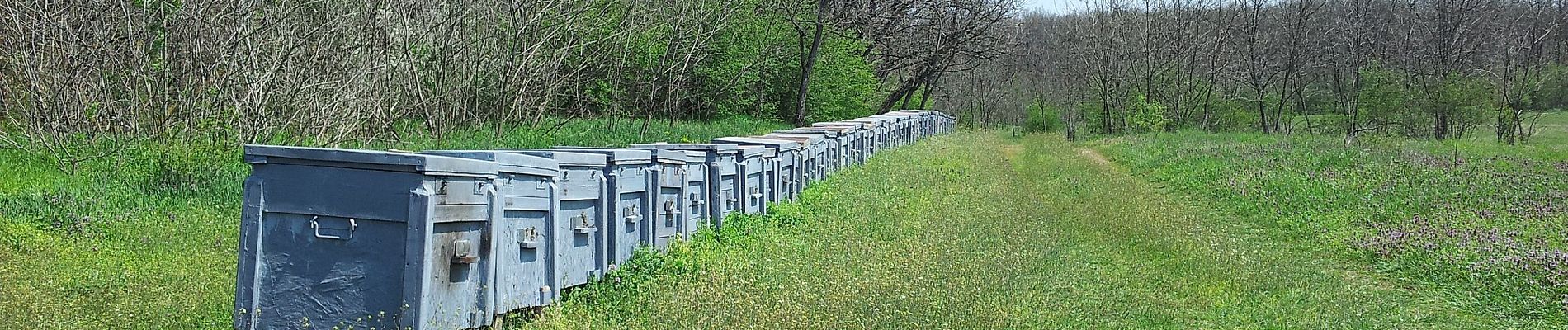 Percorso A piedi Székesfehérvár - Z+ ( Pátkai víztározó . Kisfalud ) - Photo