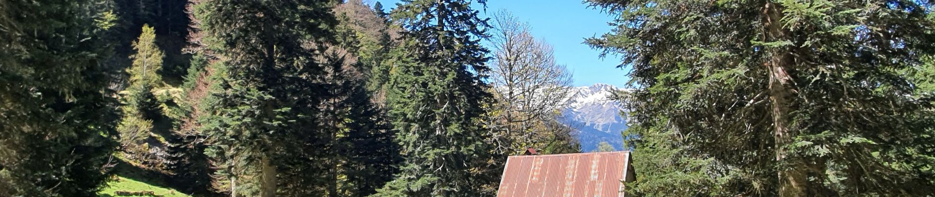 Percorso Marcia Sode - cabane de Plan Pouné, par refuge de Cualot - Photo