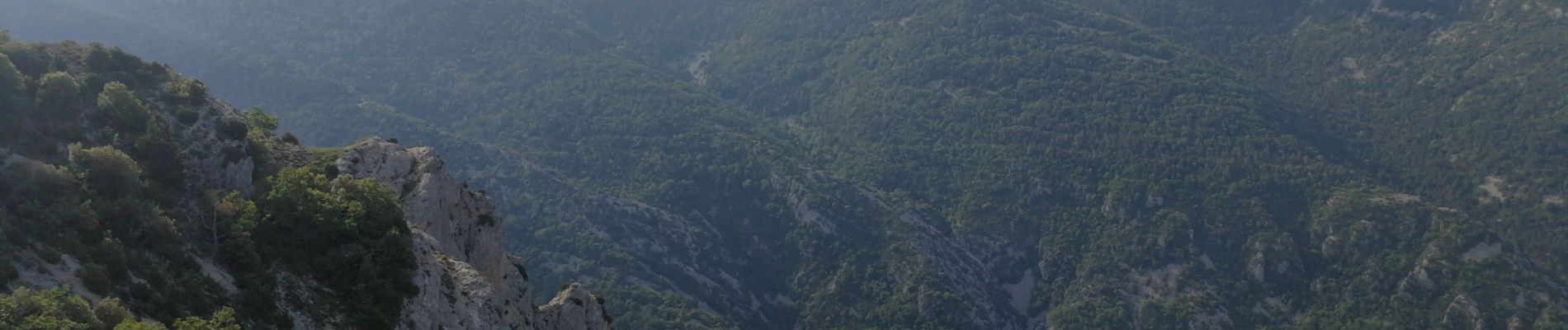 Trail Walking Beaumont-du-Ventoux - Chapelle St Sépulcre - La plate - Pic de Comte - Photo