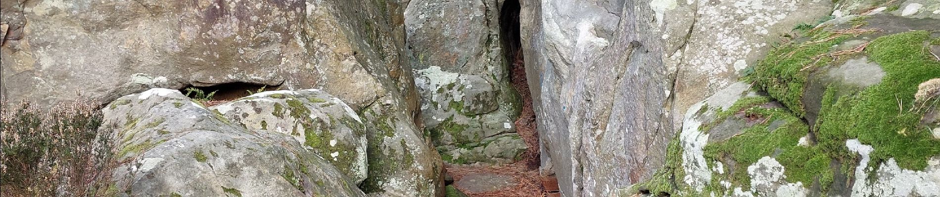 Point d'intérêt Fontainebleau - O Défilé de Vaucouleurs - Photo