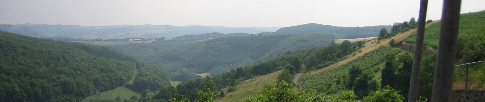 Percorso A piedi Auen - Römerstich A1 - Photo