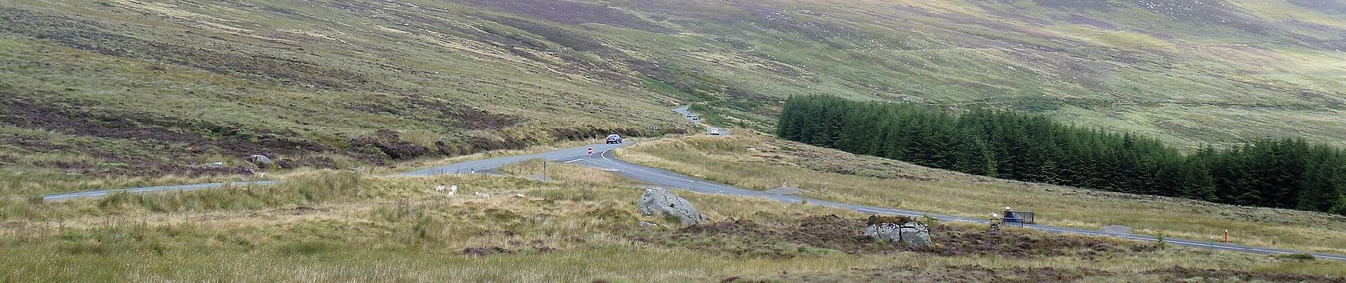 Tocht Te voet The Municipal District of Wicklow - Saint Kevin's Way - Photo