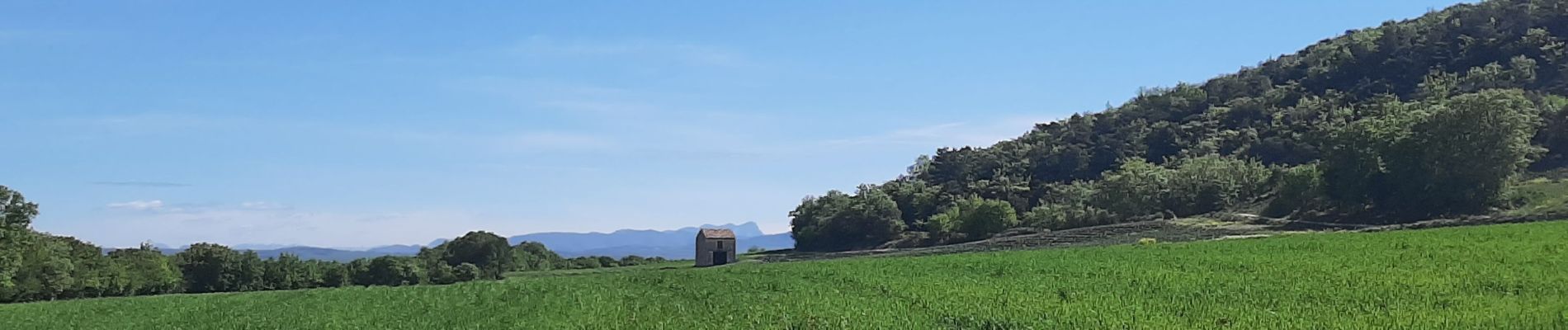 Tour Wandern Chantemerle-lès-Grignan - gringn1n - Photo