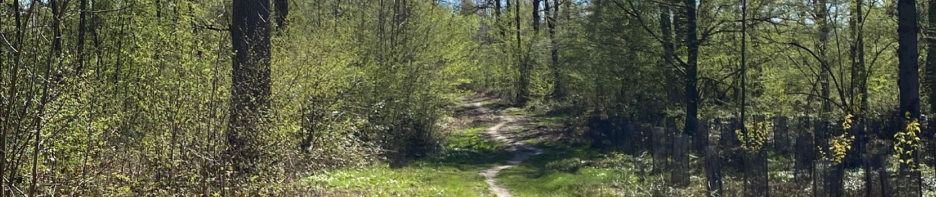 Tour Wandern Gerpinnes - Fromiée Oret par la GR129 - Photo