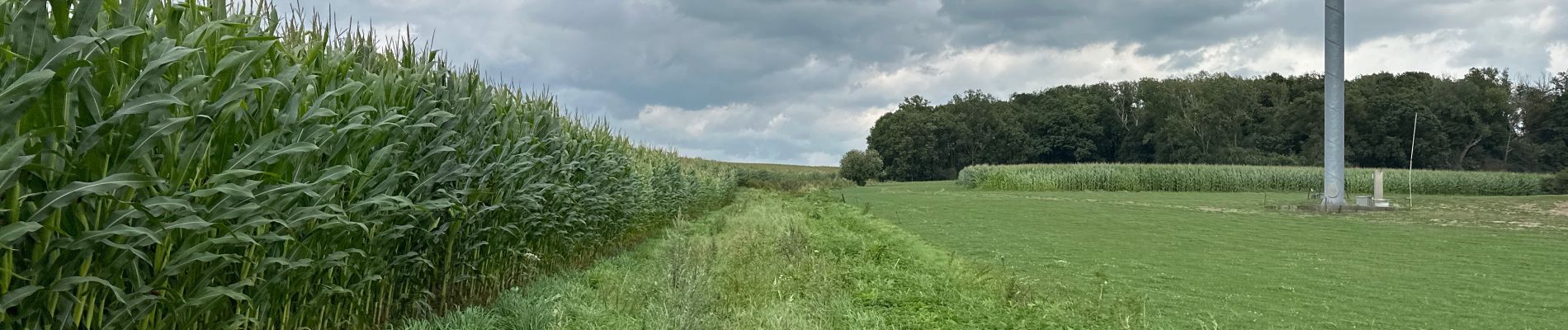 Tocht Stappen Doornik - Mont St Aubert 13,8 km - Photo