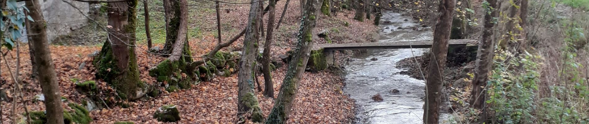 Trail Walking Saint-Jeoire-Prieuré - mt st michel par boisserette - Photo