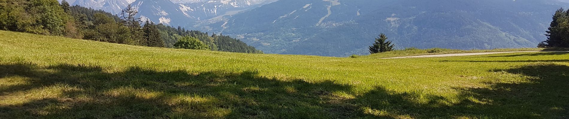 Excursión Senderismo Feissons-sur-Salins - Feissons sur salins  / Bois du sapey - Photo