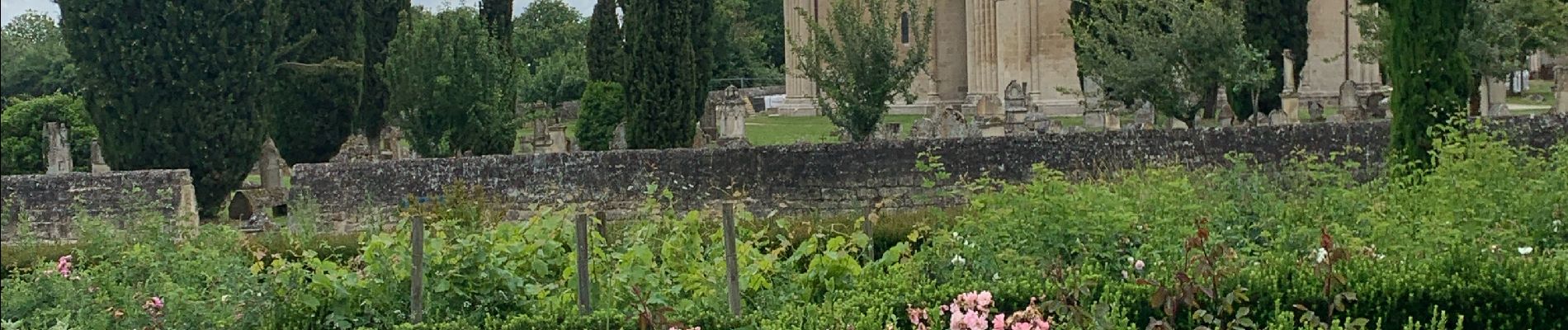 Tocht Stappen Melle - VOIE DE TOURS Melle - Aulnay les Saintonges  - Photo