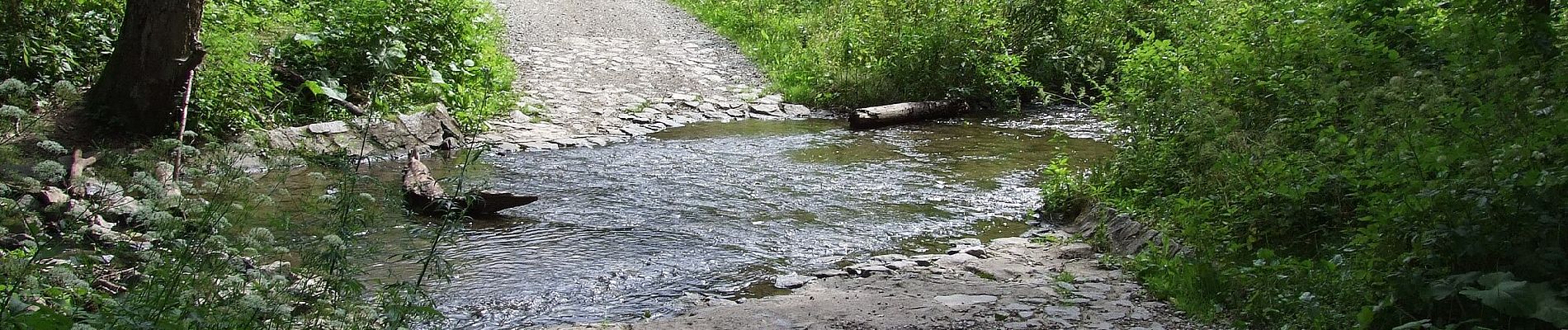 Randonnée A pied Štěchovice - [Z] Zahořanský důl - Štěchovice - Photo