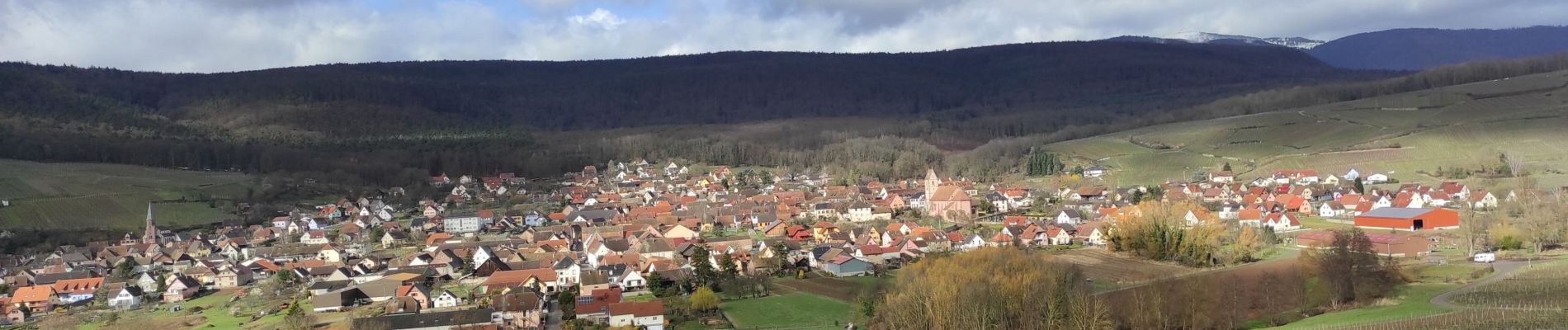 Randonnée Marche Westhalten - Westhalden - Photo