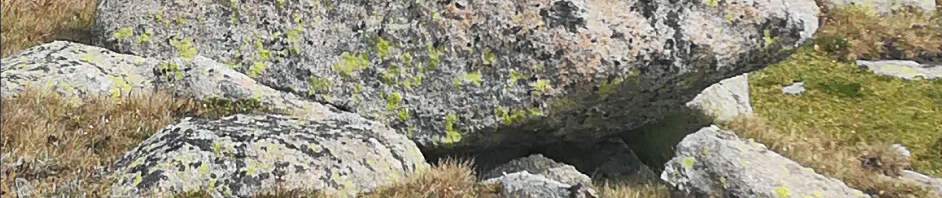 Excursión Senderismo Porta - campcardos par porta et couloir - Photo