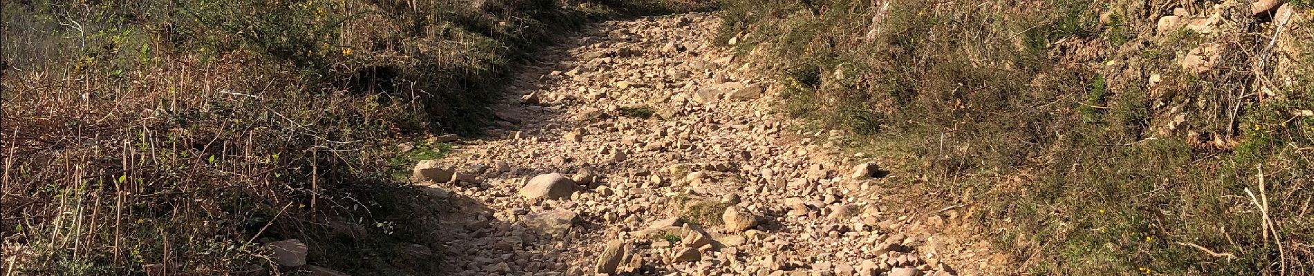 Tocht Stappen Sare - Circuit des trois bornes. Grottes de Sare - Photo