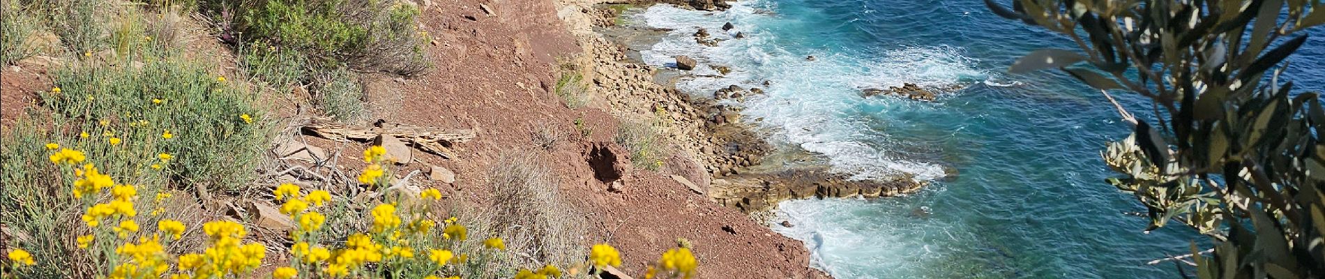 Tocht Stappen Le Pradet - les oursini - Photo