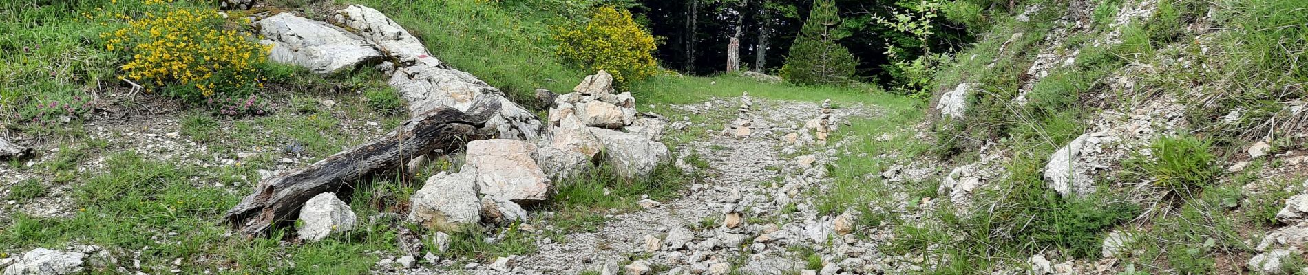 Trail Walking Saint-Julien-en-Beauchêne - la pare - Photo