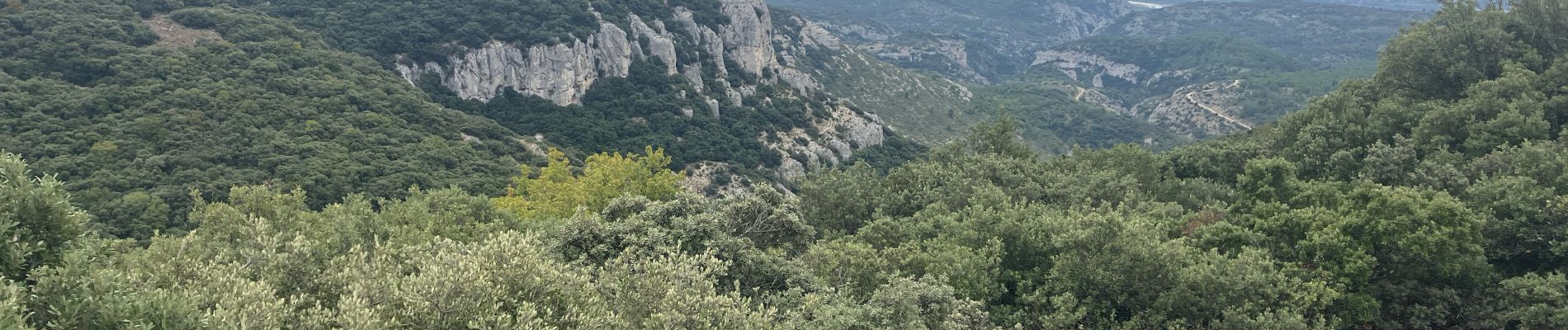 Tour Pfad Cheval-Blanc - Bergerie-Sapine-Bedoin-vallon des Buisses(20K 630D+) - Photo