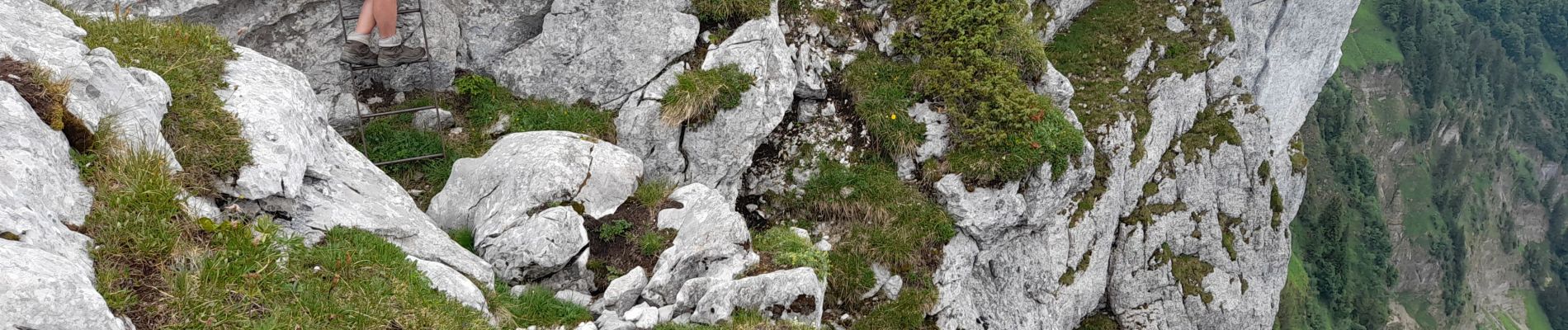 Tour Wandern Glières-Val-de-Borne - GLIERES: MONUMENT - LANDRON - SOUS DINE - COL DU CABLE- SPEE - Photo