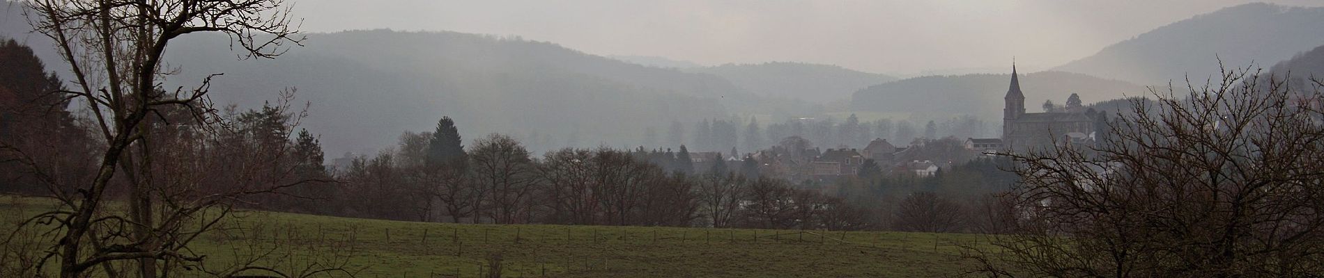 Tocht Te voet Hamoir - Les rives de l'Ourthe vers Comblain-la-Tour - Photo