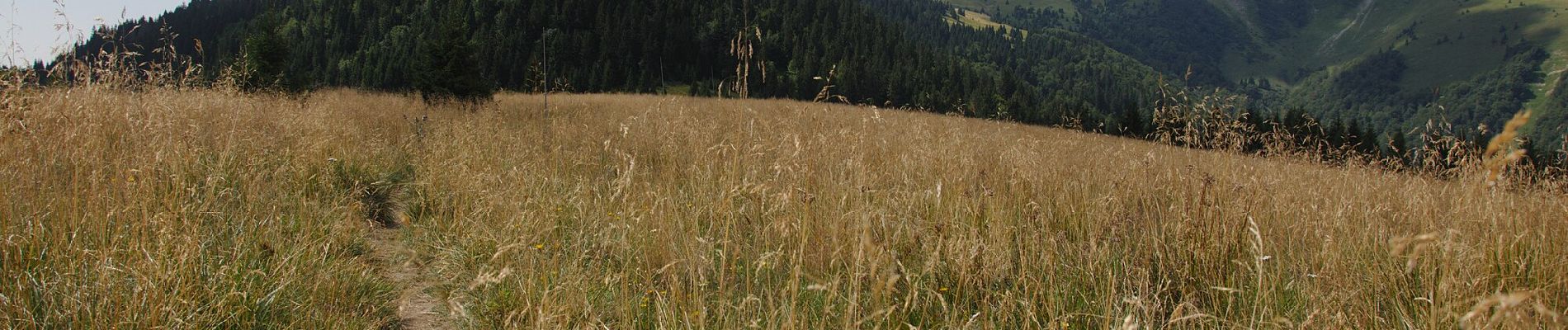 Tocht Te voet okres Ružomberok - Náučný chodník Čierny kameň - Photo