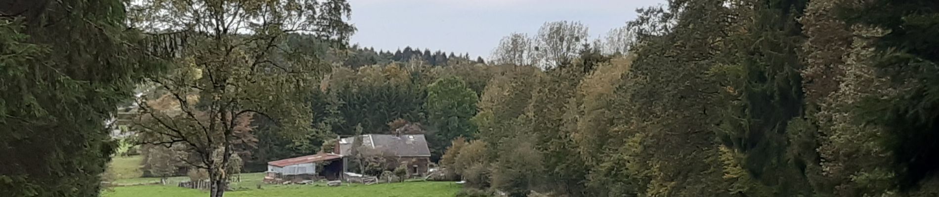 Randonnée Marche Ferrières - burnontige - Photo