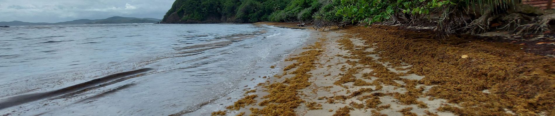 Excursión Senderismo La Trinité - Anse Cosmy - Anse Azerot - Photo