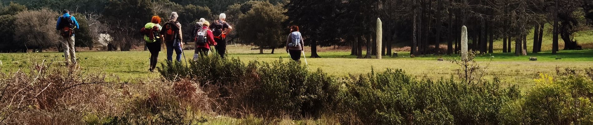 Trail Walking Collobrières - collobriéres les menhirs de Lambert - Photo