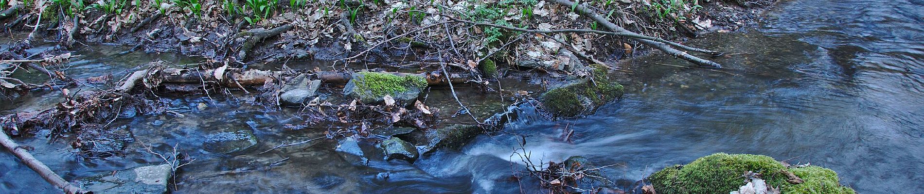 Trail On foot Račice-Pístovice - naučná stezka Rakovecké údolí - Photo