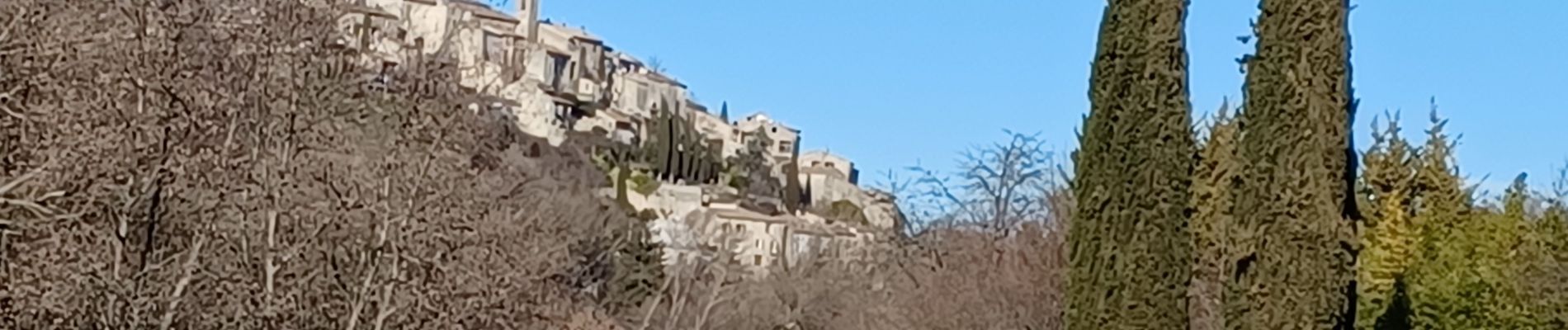 Randonnée Marche Dauphin - DAUPHIN La forêt de Pelissier o - Photo