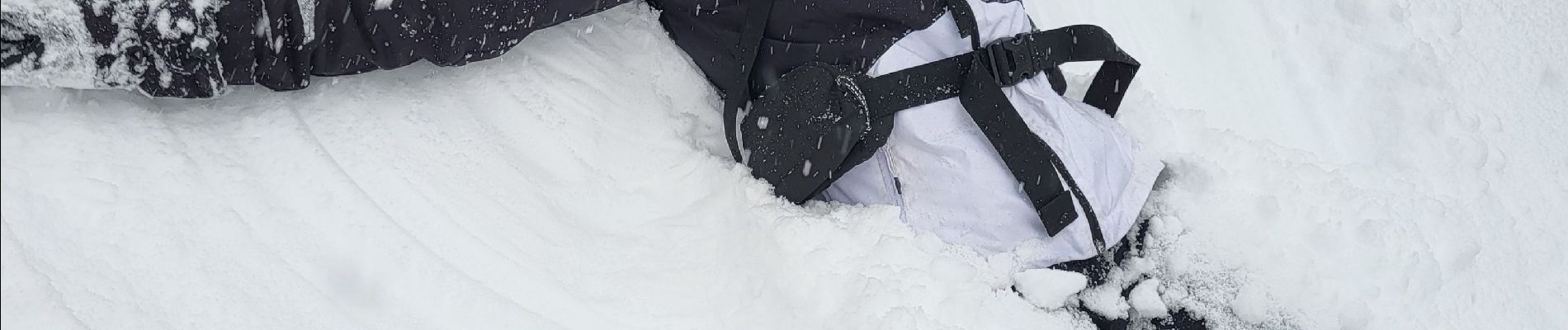 Tocht Sneeuwschoenen Châtel - raquettes 2ème jour  - Photo