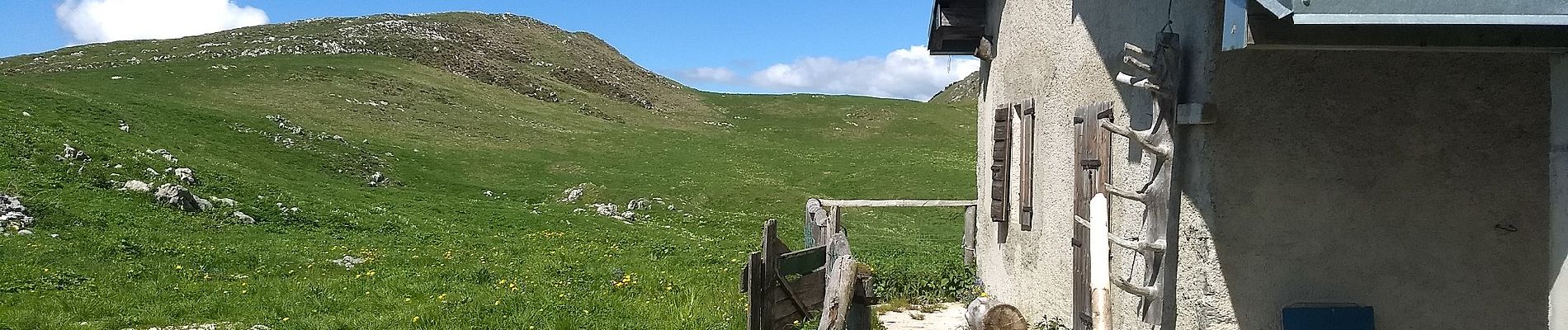 Trail On foot Magasa - Malga Casina, Bocca di Cablone, Malga Tombea - Photo