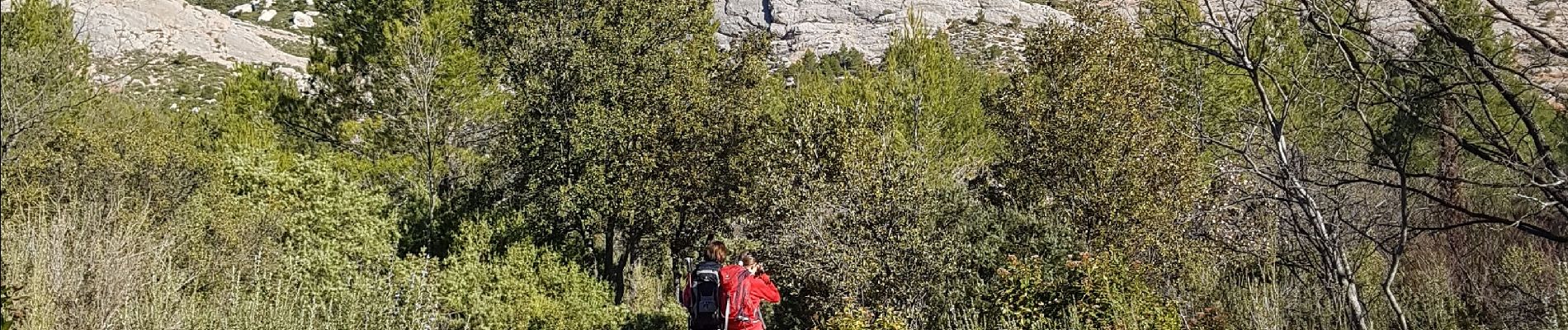 Tocht Stappen Saint-Antonin-sur-Bayon - pas du clapier et tracé vert - Photo