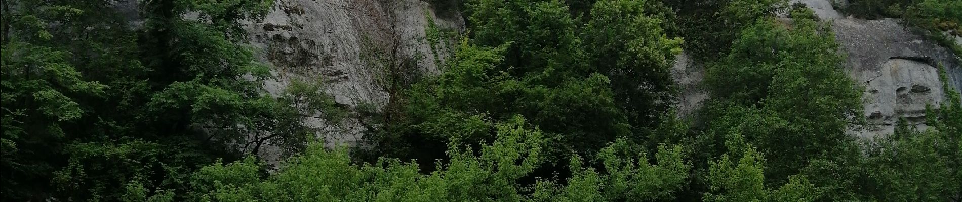 Excursión Piragüismo Saint-Léon-sur-Vézère - st Léon, + les eyzies - Photo