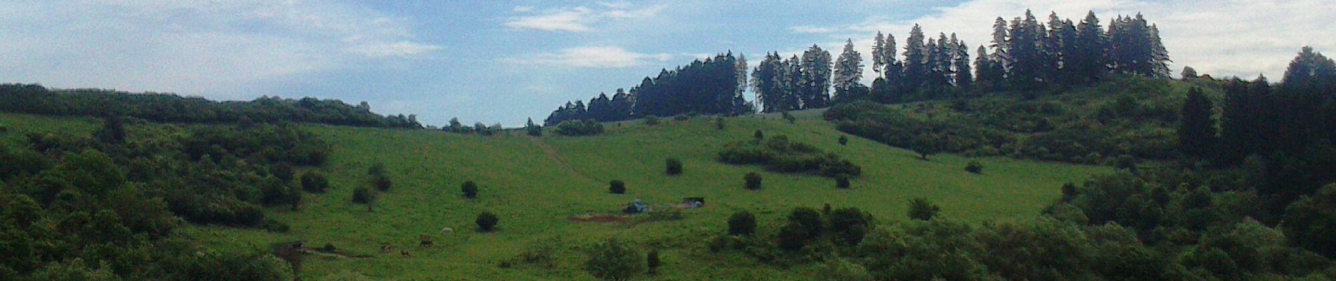 Excursión A pie okres Žilina - Náučný chodník Slnečné skaly - Photo