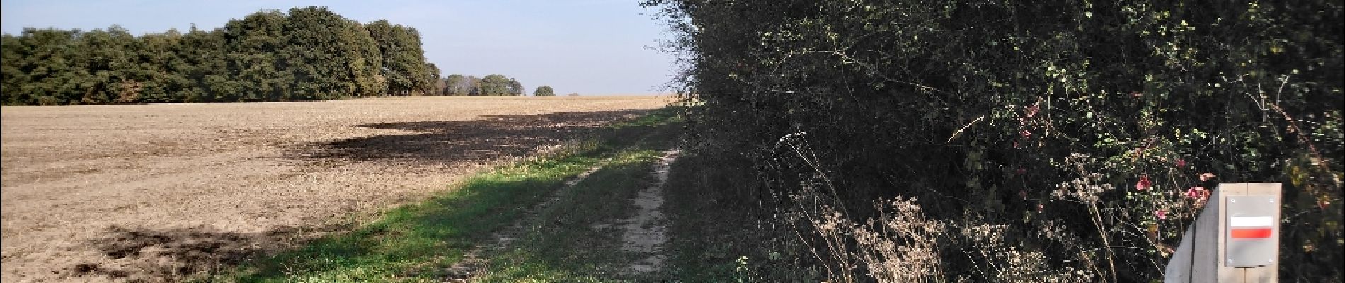 Tocht Stappen Amboise - 0 Amboise - Photo